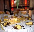 Galeria de imagenes