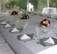 Galeria de imagenes