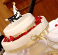 Galeria de imagenes